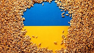 Ukraina pasiryžusi bylinėtis su trimis kaimynėmis dėl embargo grūdams