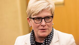 Paulius Peleckis nuotr. Ingrida &Scaron;imonytė