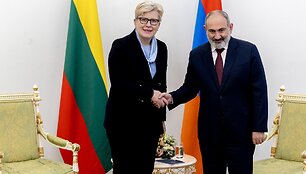 I. &Scaron;imonytė ir N. Pa&scaron;inianas. Vyriausybės kanceliarijos nuotr.