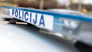 Žygimantas Gedvila/BNS nuotr.