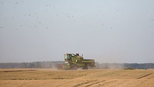 Žygimanto Gedvilos / BNS nuotr.