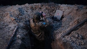Ukrainos karys