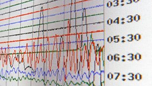 Seismografinė diagrama rodo Japonijos žemės drebėjimo stiprumą. / David Moir / REUTERS