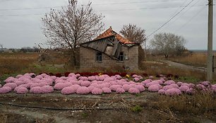 Ukrainos kaimas / FLORENT VERGNES / AFP