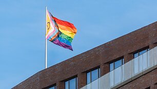LGBTIQ vėliava / Markus Scholz / dpa/picture-alliance