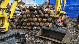 Kasetinių &scaron;audmenų rinkimas Vokietijoje. / Jens Kalaene / dpa/picture-alliance