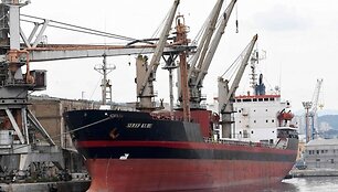 BNS nuotr.