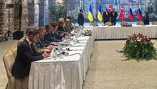 Stambule gegužės 16-ąją / HANDOUT / AFP