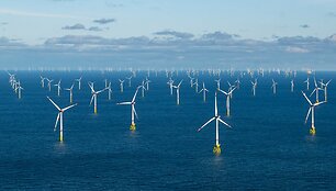 Sina Schuldt / dpa/picture-alliance