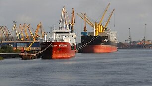 BNS nuotr.