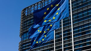 ES vėliavos / Philipp von Ditfurth / dpa/picture-alliance
