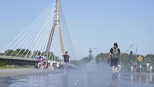 Vysla Lenkijoje / Czarek Sokolowski / AP