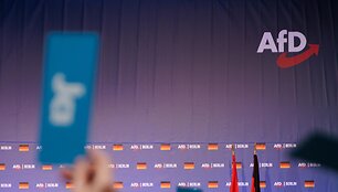&bdquo;Alternatyva Vokietijai&ldquo; / Carsten Koall / dpa/picture-alliance