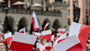 Lenkijos vėliavėlės mitinge / Dominika Zarzycka / ZUMAPRESS.com