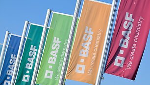 Uwe Anspach / dpa/picture-alliance