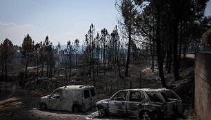 PATRICIA DE MELO MOREIRA / AFP