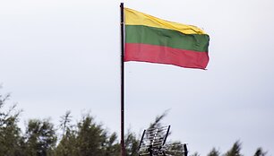 Lietuvos vėliava / Attila Husejnow / ZUMAPRESS.com
