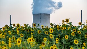 Armin Weigel / dpa/picture-alliance