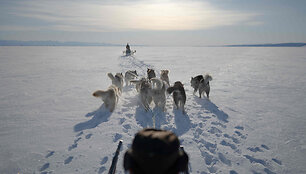 &Scaron;unų kinkinių lenktynės / OLIVIER MORIN / AFP