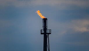 Patrick Pleul / dpa/picture-alliance