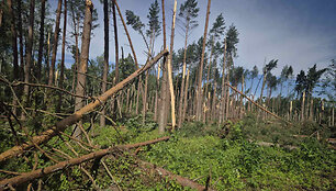 Audros padariniai / Tomo Bazevičiaus / Valstybinių mi&scaron;kų urėdijos nuotr.