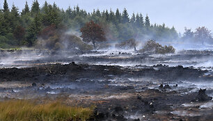 Belgija / IMAGO/Didier Lebrun / IMAGO/Photo News