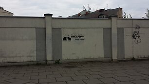 V.Putino atvaizdas
