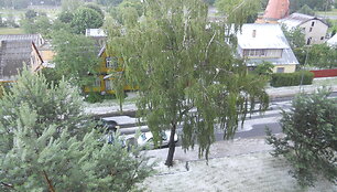 Kru&scaron;a Panevėžyje