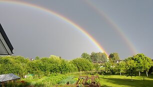 Vaivoryk&scaron;tė &Scaron;lienavoje, Kauno r.