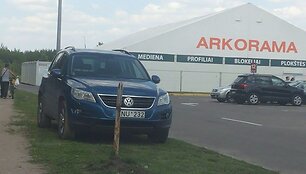Gamtos mėgėjas