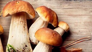 Nuo seniausių laikų lietuviai mėgo rinkti grybus
