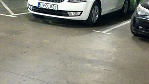 &bdquo;&Scaron;koda&ldquo; &bdquo;neįgalusis&ldquo;