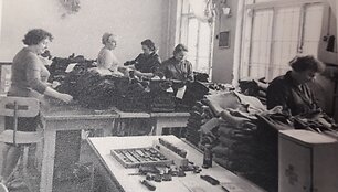 Istoriniai mezginiai