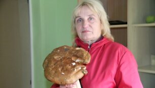 &Scaron;iaulietės Stefos 1,5 kg baravykas