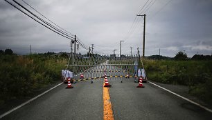 Fukušimos atominės jėgainės apylinkės