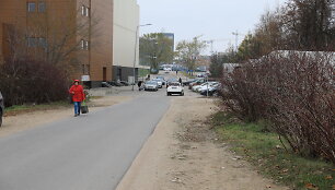 &Scaron;irvintų gatvė
