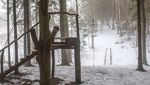 Jomantų miško pažintinis takas