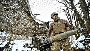 Ukrainos karys