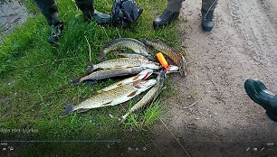 Lydekų žvejyba Ilgės ežere pažeidėjams kainuos daugiau nei 1,7 tūkst. eurų