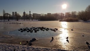 Specialistų teigimu, ledas dar nesaugus.