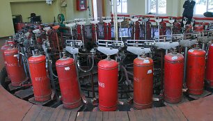 BNS nuotr.