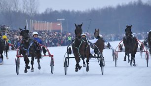 Žirgų lenktynės