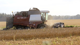 Grūdų perdirbėjų asociacija: gausiam derliui supirkti reikia 1,5 mlrd. eurų