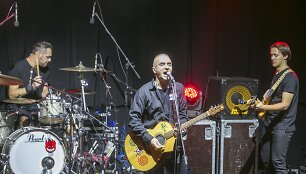 Andriaus Mamontovo koncertas Vilniuje