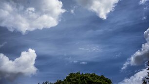 Tarptautinių kelionių mažiau, bet &scaron;iltnamio dujų koncentracija vis auga