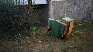 Sudegęs fotelis
