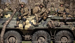 Ukrainos kariai Donbase