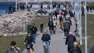 &Scaron;vedai Malmės parke