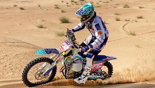 &bdquo;International Dubaj Baja&ldquo;, pasivažinėjimas po dykumą