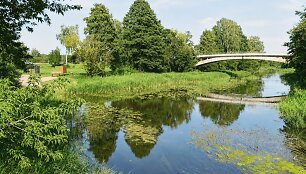 Lėvens upės maudykla prie Paliūni&scaron;kio tilto